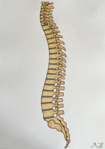 biomeccanica