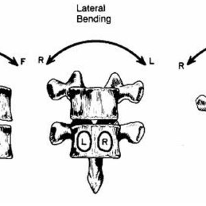 Biomeccanica della colonna vertebrale