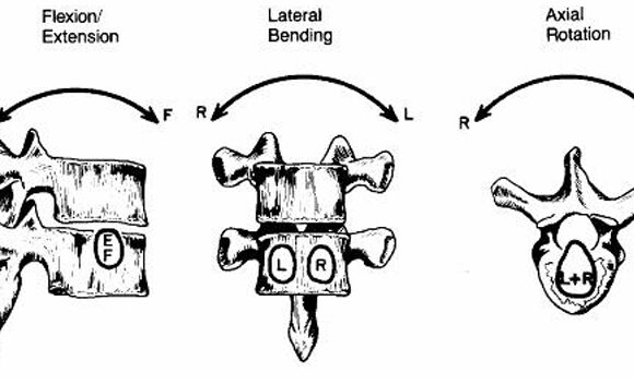 Biomeccanica della colonna vertebrale