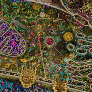 cellula al microscopio