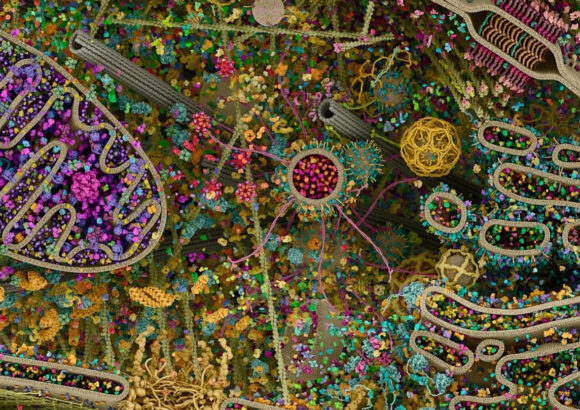 cellula al microscopio