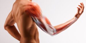 potenziamento muscolare