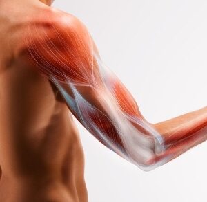 potenziamento muscolare